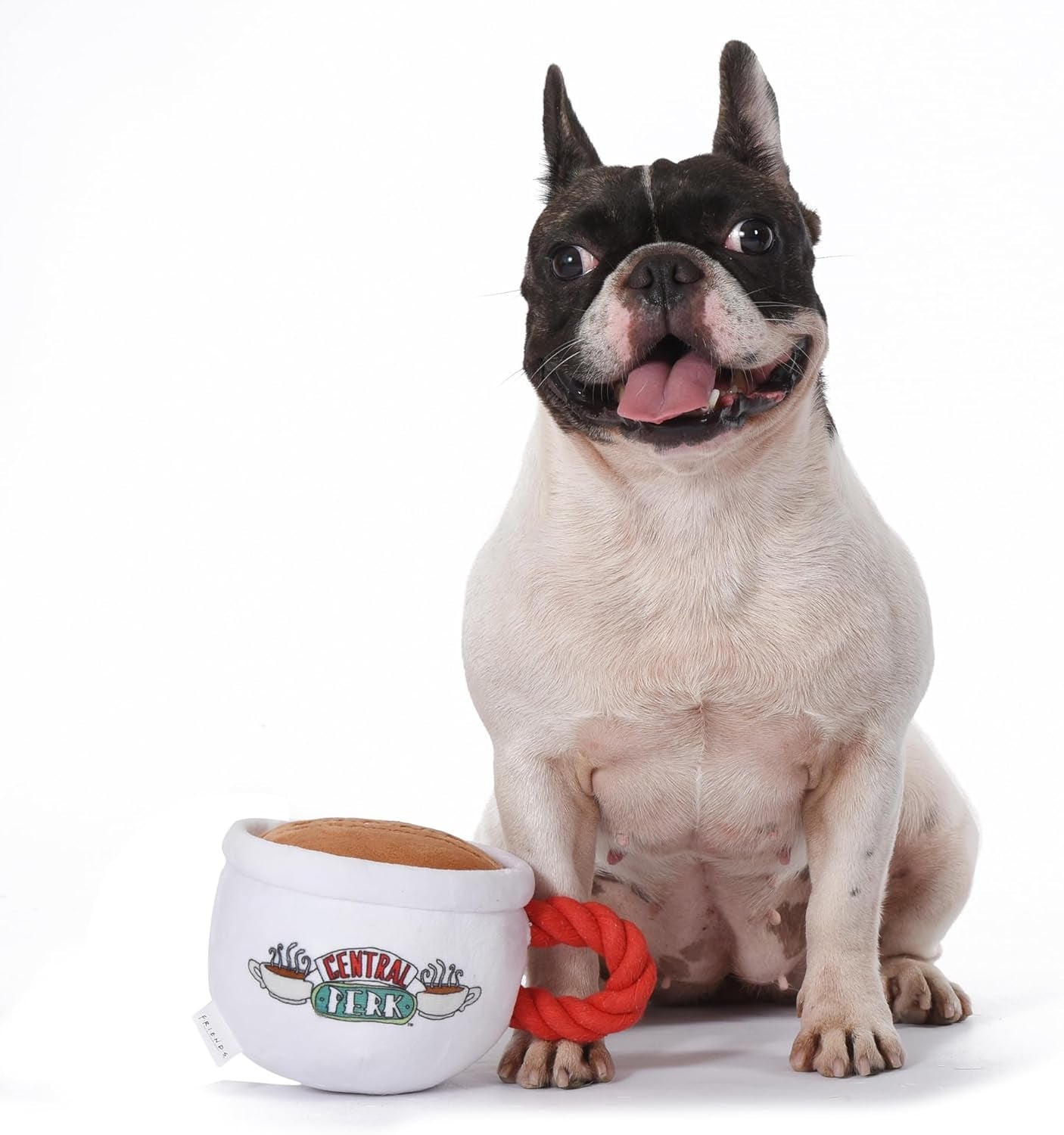 Friends the TV Show Central Perk Coffee Mug Plush Dog Toy with Rope Handle| Soft Cute Squeaky Toy for All Dogs | Stuffed Dog Toys with Squeaker Noise for Added Fun, Friends Memorabilia