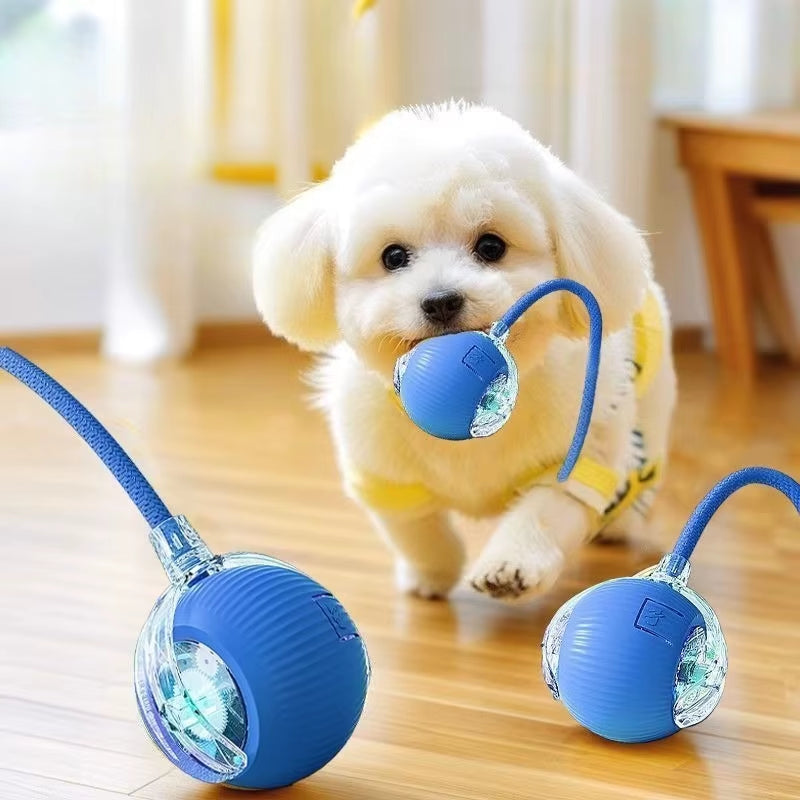 Interactive Cat Rolling Ball Toy