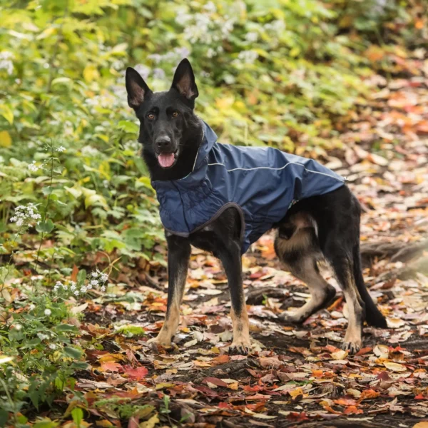 Reversible Elasto-Fit Raincoat - Navy - Image 6