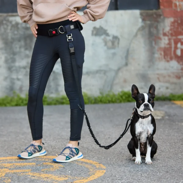 Waist Belt & Bungee Leash - Image 2